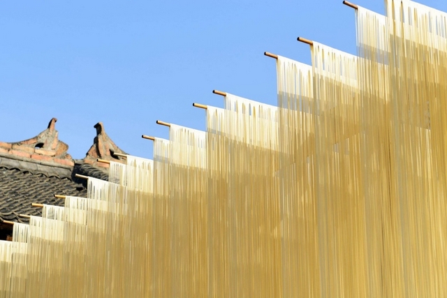 陰雨天濕氣橫行，除濕機一招致勝