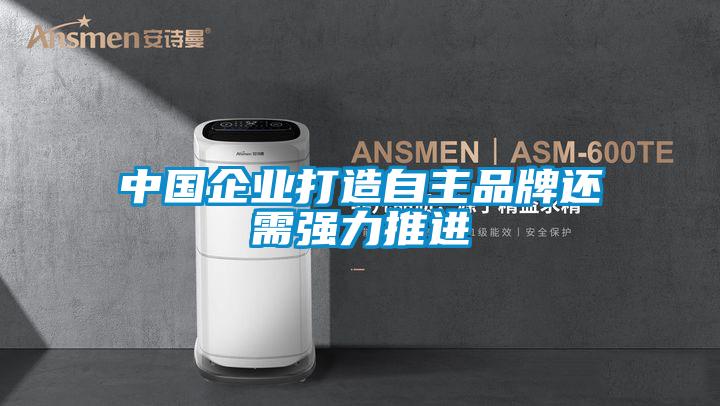 中國企業(yè)打造自主品牌還需強力推進