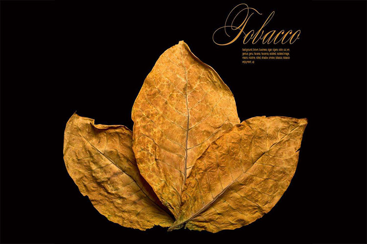 蘇州危險品倉庫防爆除濕機,ASM-BCF-10高效優(yōu)質(zhì)