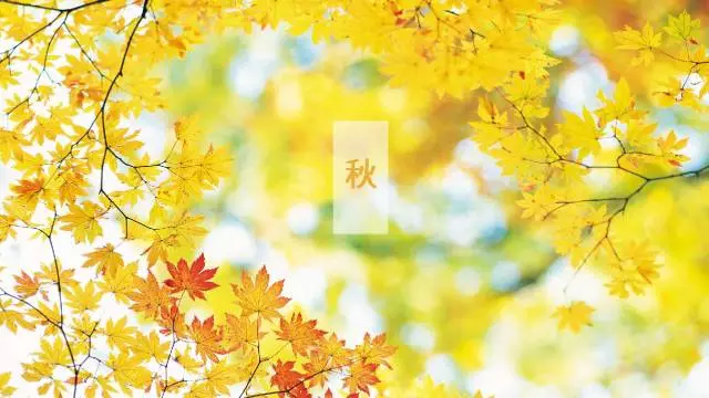 轉(zhuǎn)輪除濕機的核心部分在哪里？如何鑒定轉(zhuǎn)輪好壞呢？