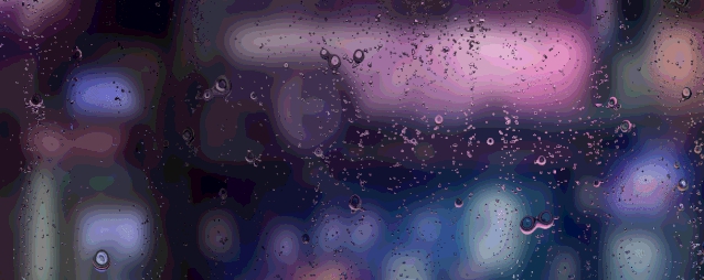 梅雨季節(jié)如何保持狗狗身體干燥？