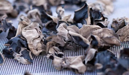 配電室空氣除濕機(jī)