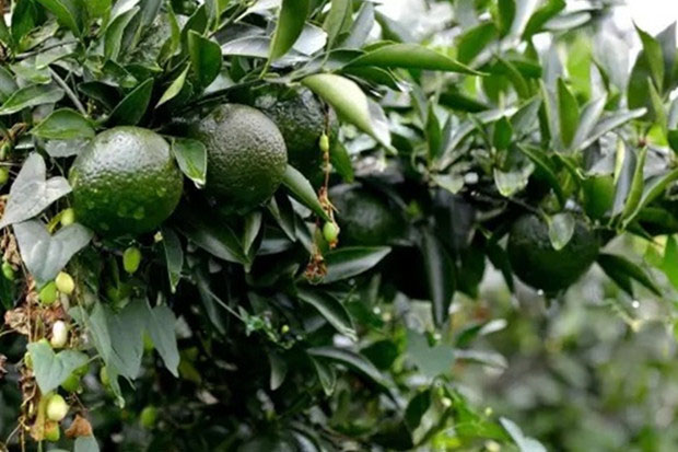 冬天適合買除濕機嗎