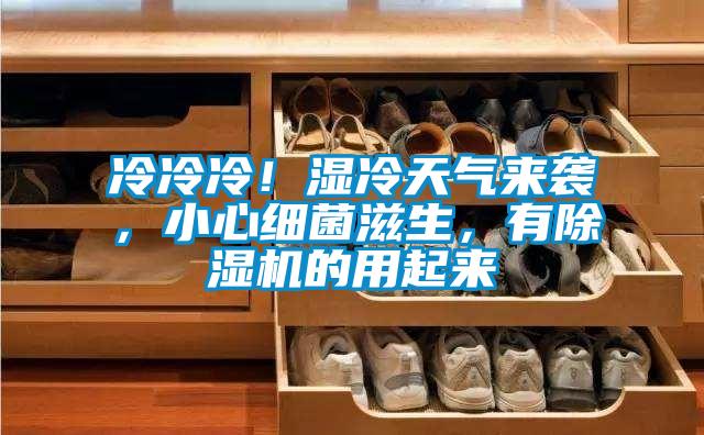 冷冷冷！濕冷天氣來襲，小心細菌滋生，有除濕機的用起來