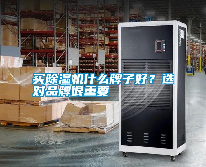 買除濕機什么牌子好？選對品牌很重要