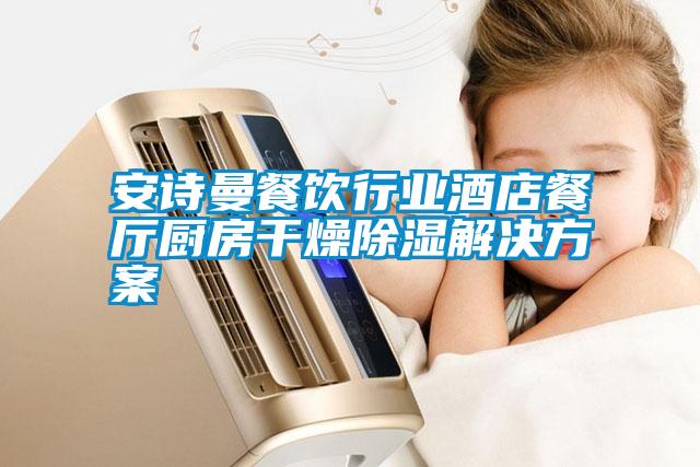 智能強(qiáng)力除濕機(jī)