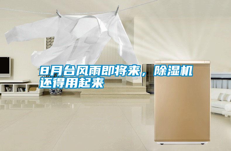 8月臺(tái)風(fēng)雨即將來，除濕機(jī)還得用起來