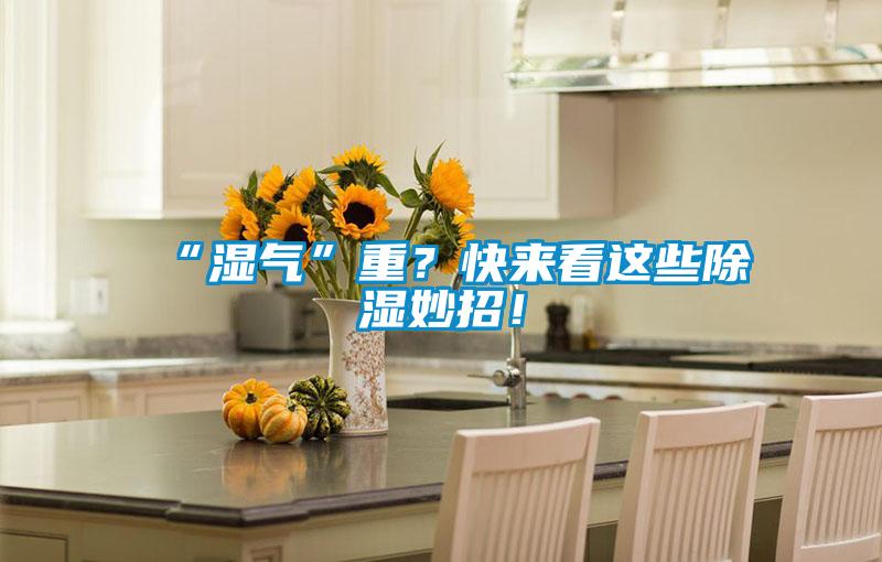 “濕氣”重？快來看這些除濕妙招！