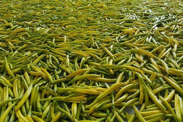 寧波生產(chǎn)恒溫恒濕試驗箱報價及圖片