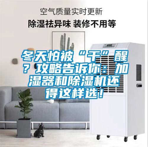 冬天怕被“干”醒？攻略告訴你：加濕器和除濕機還得這樣選！