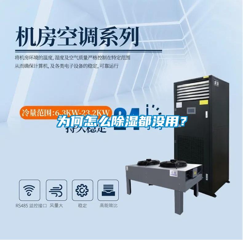 為何怎么除濕都沒用？