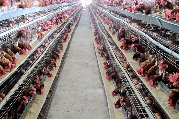 安詩曼恒溫恒濕機：高低溫（交變）濕熱試驗箱（環(huán)境試驗箱系列）