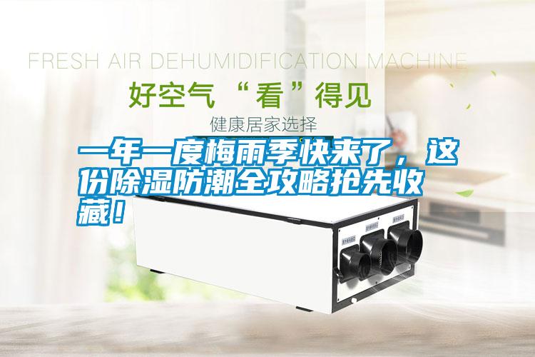 一年一度梅雨季快來了，這份除濕防潮全攻略搶先收藏！