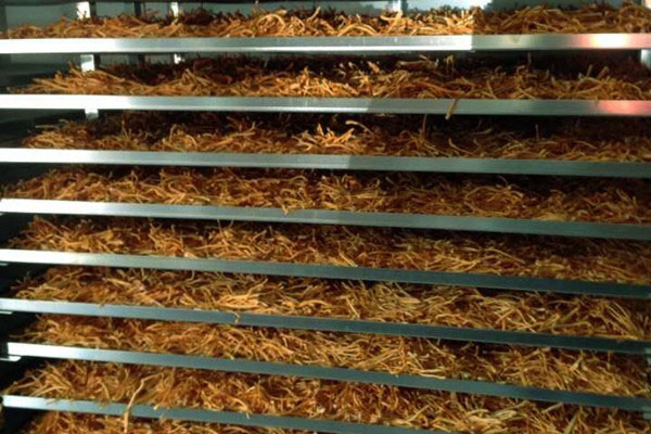 熱點(diǎn)：除濕機(jī)企業(yè)_讓你的大象舞動(dòng)得更精彩_業(yè)內(nèi)新聞_新聞動(dòng)態(tài)-實(shí)力廠家官網(wǎng)