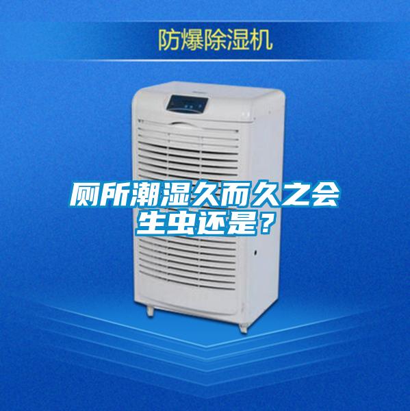 廁所潮濕久而久之會(huì)生蟲還是？