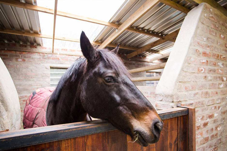 工業(yè)除濕器介紹_工業(yè)除濕器的選擇與推薦