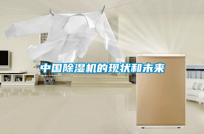 中國除濕機(jī)的現(xiàn)狀和未來