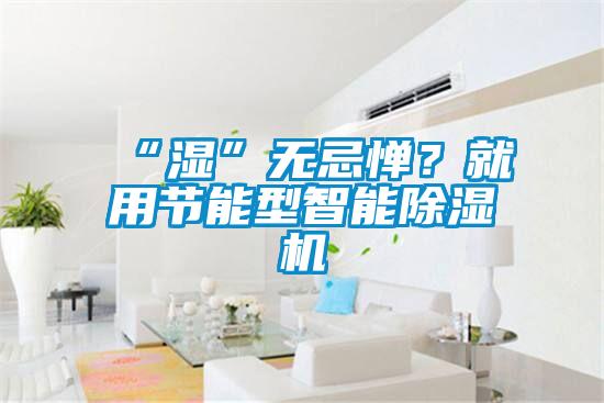 “濕”無(wú)忌憚？就用節(jié)能型智能除濕機(jī)