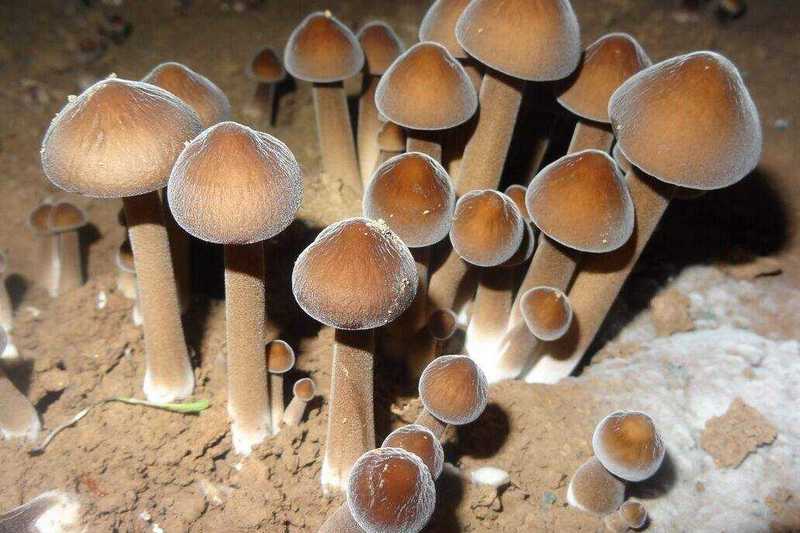 家用除濕機(jī)和工業(yè)除濕機(jī)添加制冷劑應(yīng)該注意哪些問題