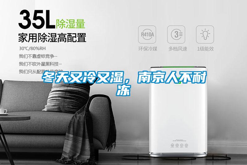 冬天又冷又濕，南京人不耐凍