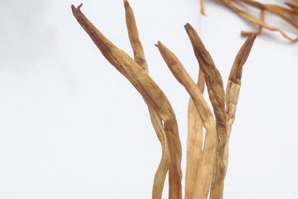 世界除濕機(jī)什么牌子好，解讀除濕機(jī)市場(chǎng)趨勢(shì)