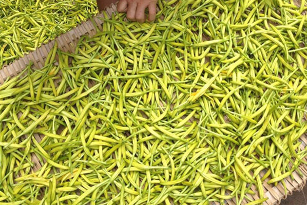 轉(zhuǎn)輪除濕機，低溫型轉(zhuǎn)輪除濕機，低露點轉(zhuǎn)輪除濕機，鋰 ...