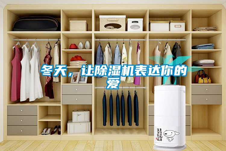 冬天，讓除濕機(jī)表達(dá)你的愛