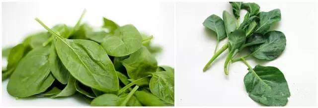 智能除濕器哪個牌子好 智能除濕器品牌推薦