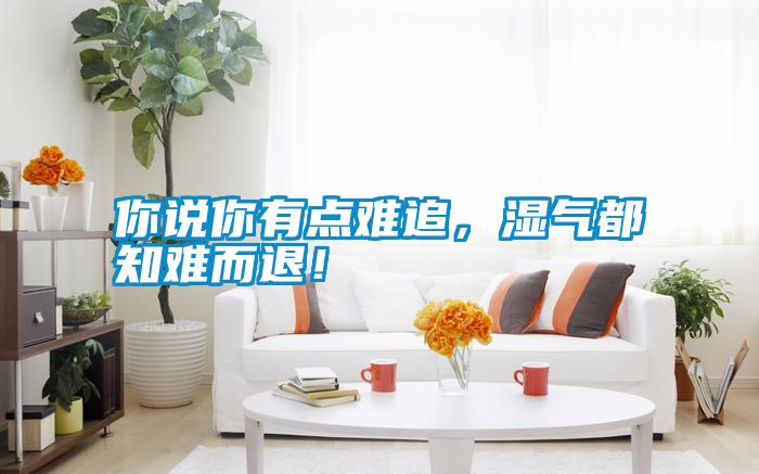 你說(shuō)你有點(diǎn)難追，濕氣都知難而退！