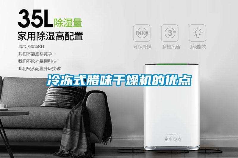 冷凍式臘味干燥機的優(yōu)點