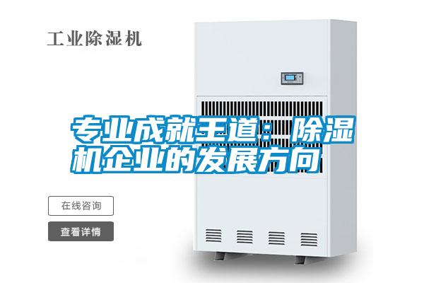 專業(yè)成就王道：除濕機(jī)企業(yè)的發(fā)展方向