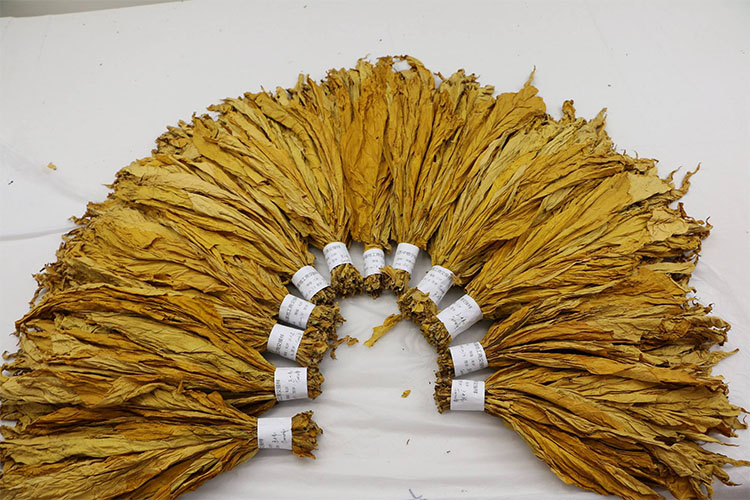 防潮選除濕袋還是除濕機(jī)？