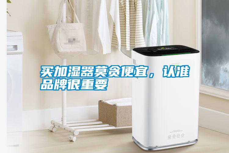 買加濕器莫貪便宜，認準品牌很重要