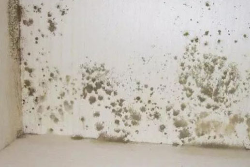 家具防潮的技巧 如何制作家具除濕小物件