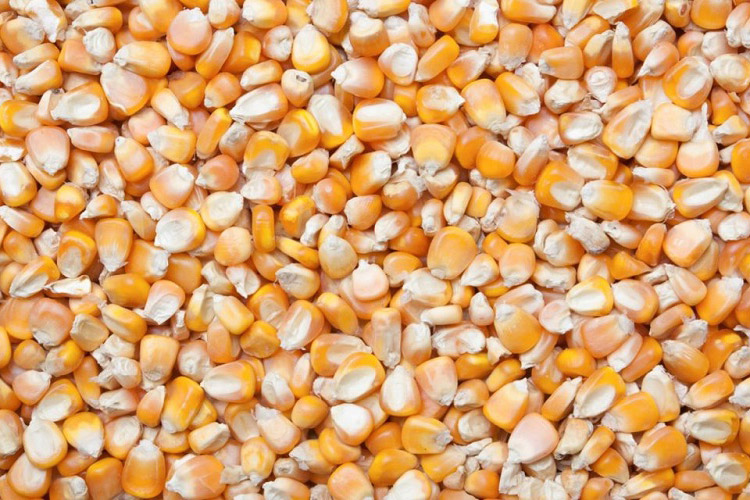 杭州大型分體肉類低溫高濕解凍解凍機(jī)生產(chǎn)廠(技術(shù)指導(dǎo)：2023已更新)