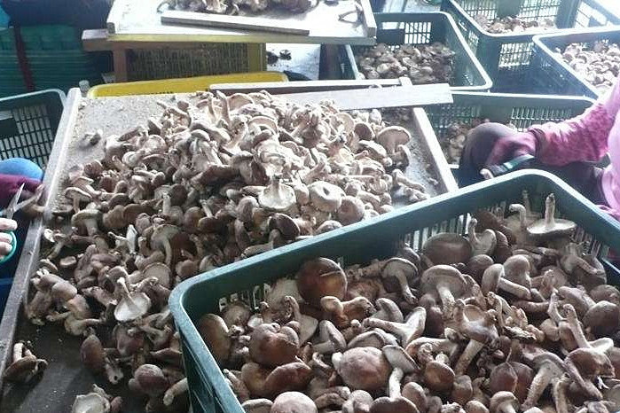 社區(qū)泳池等都相繼開(kāi)放