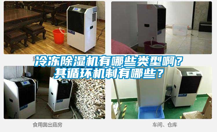 冷凍除濕機有哪些類型?。科溲h(huán)機制有哪些？