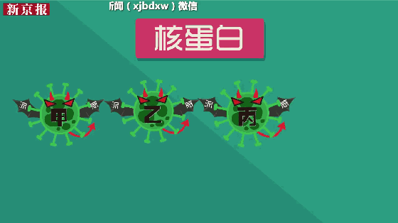 杭白菊除濕烘干機(jī) 廠家批發(fā)安徽杭白菊花烘干箱