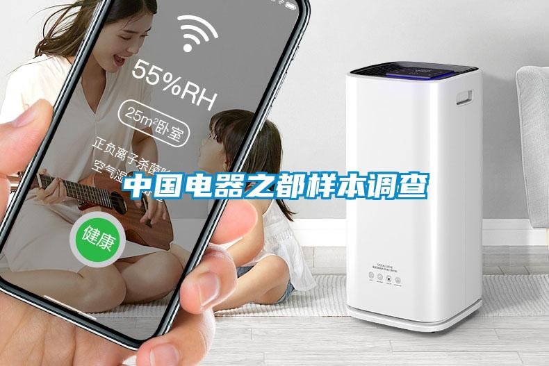 中國(guó)電器之都樣本調(diào)查