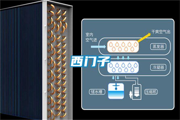 低成本食品烘干 日業(yè)烘干除濕機(jī) 食品除濕器