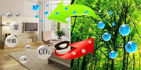 普洱茶發(fā)霉怎么辦？