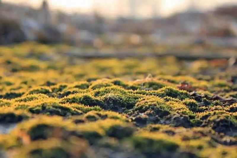 上海高低溫試驗箱 高低溫試驗箱哪個牌子質(zhì)量好？