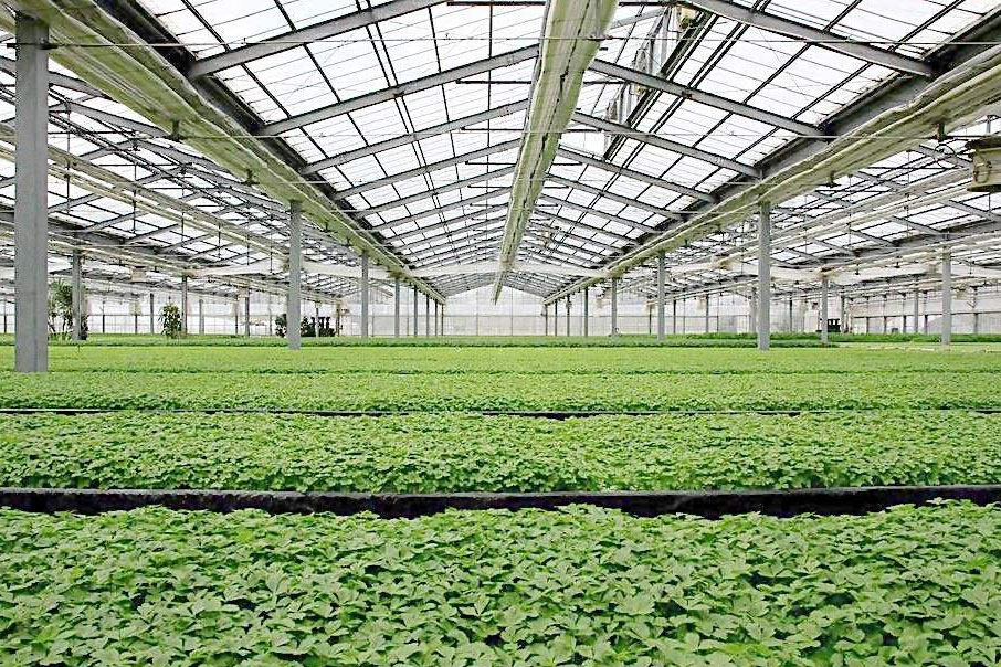 空氣濕度與我們生活密切相關(guān)，除濕機發(fā)揮大作用