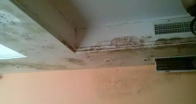 恒溫恒濕試驗箱 可程式恒溫恒濕箱 全自動