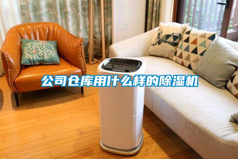 公司倉(cāng)庫(kù)用什么樣的除濕機(jī)