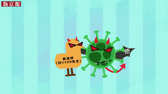 柿餅怎么做？柿餅烘干除濕機(jī)