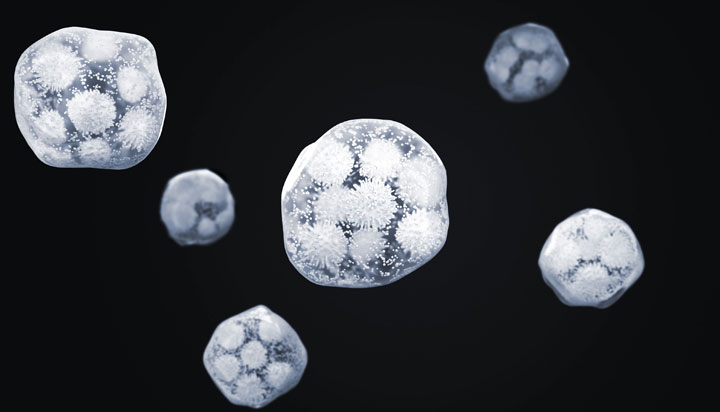 一種便攜一體式快速還原物理除濕盒、除濕器的制作方法