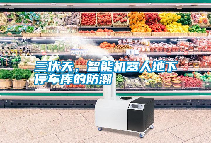 三伏天，智能機器人地下停車庫的防潮