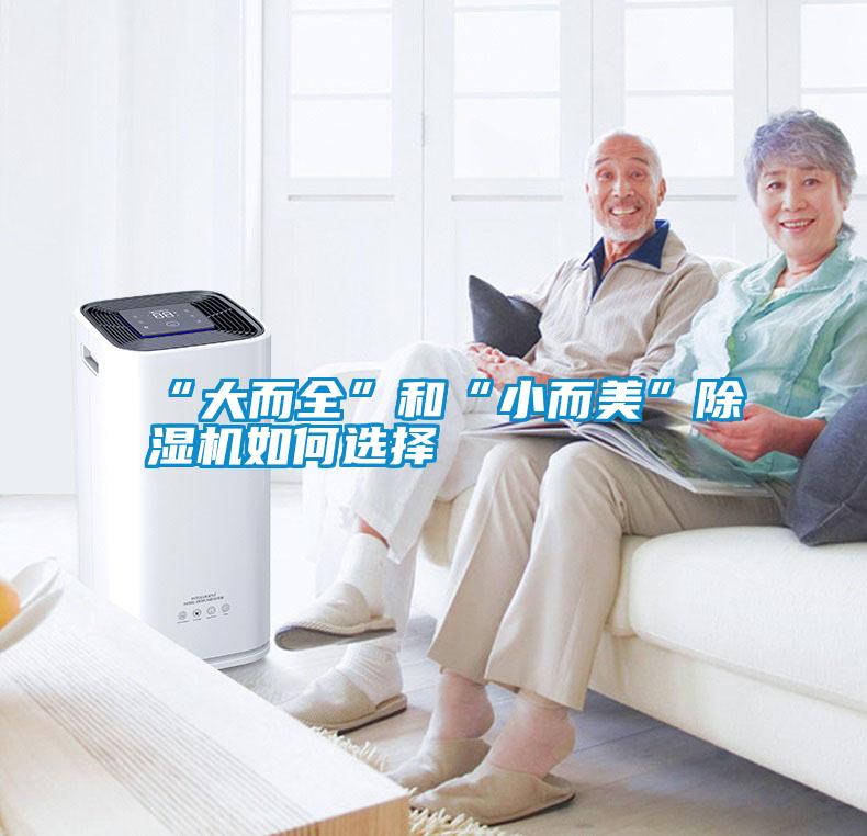 “大而全”和“小而美”除濕機(jī)如何選擇