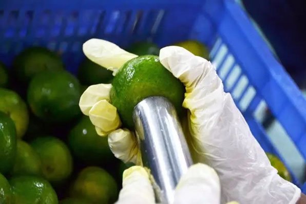 工業(yè)除濕機(jī)在各個(gè)領(lǐng)域的合理運(yùn)用